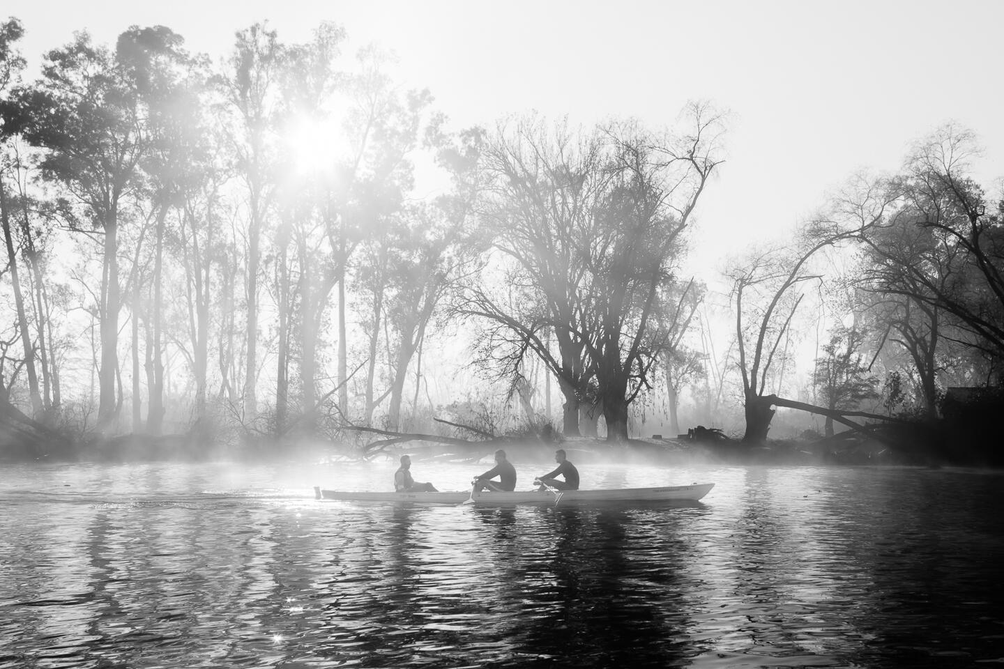 Row Row Row, Delta del Tigre, Argentina